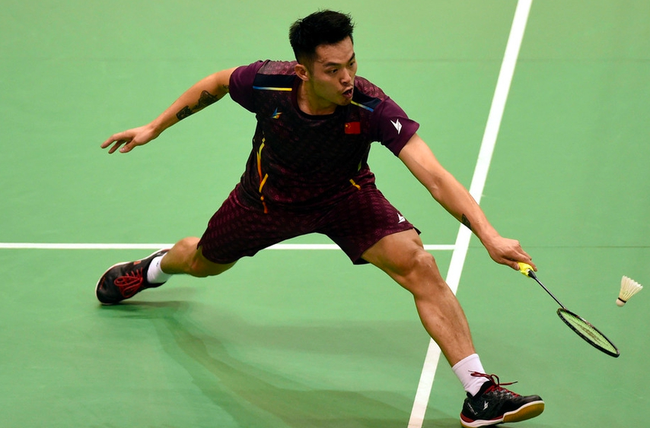 协同见长的 协同见长的